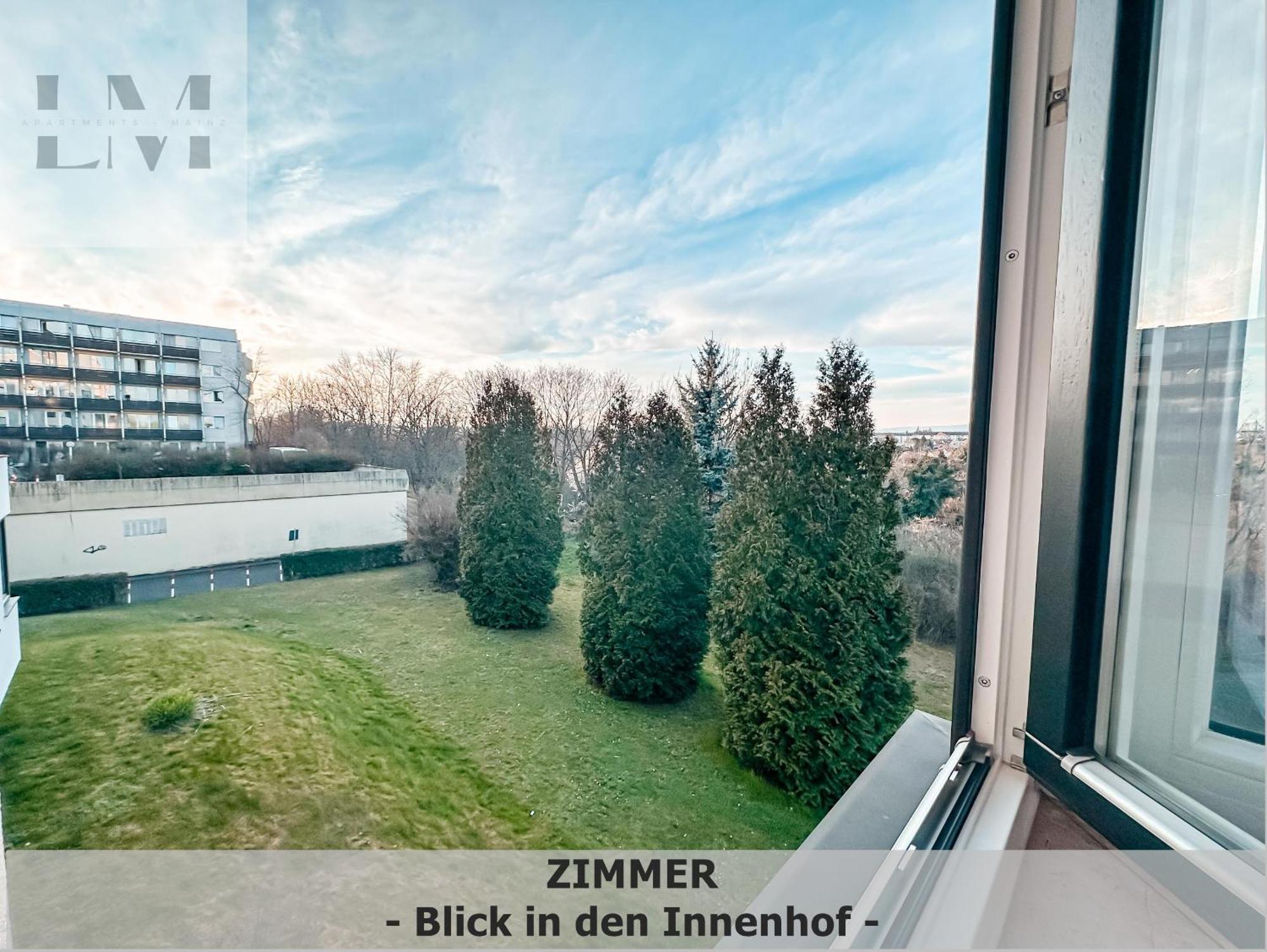 Lm-Apartmentsmainz-01 Dış mekan fotoğraf